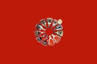 和政县回收红酒